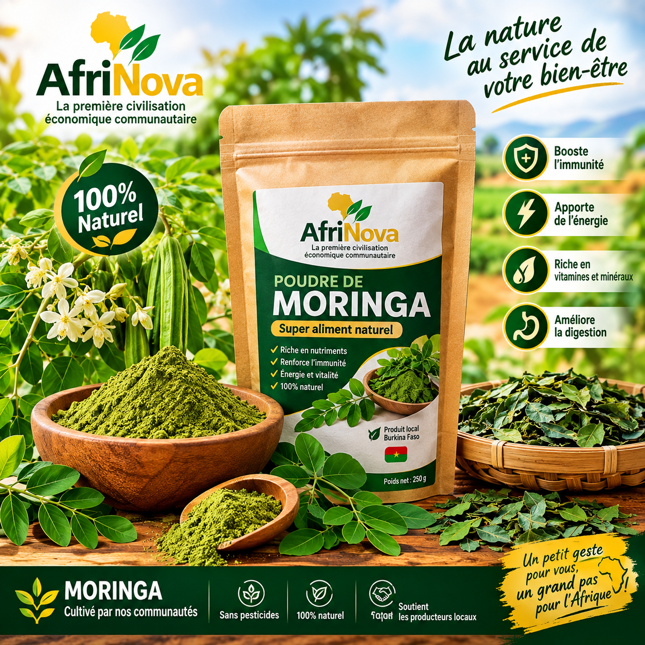 Poudre du moringa